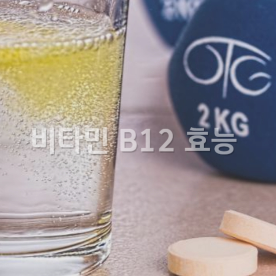 비타민 B12 효능 정리 신경 건강부터 빈혈 예방까지