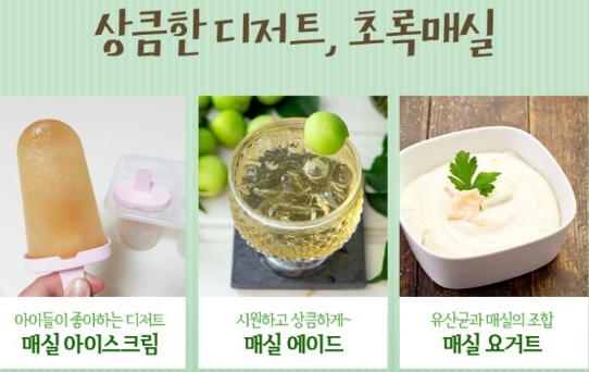 청매실황매실매실청