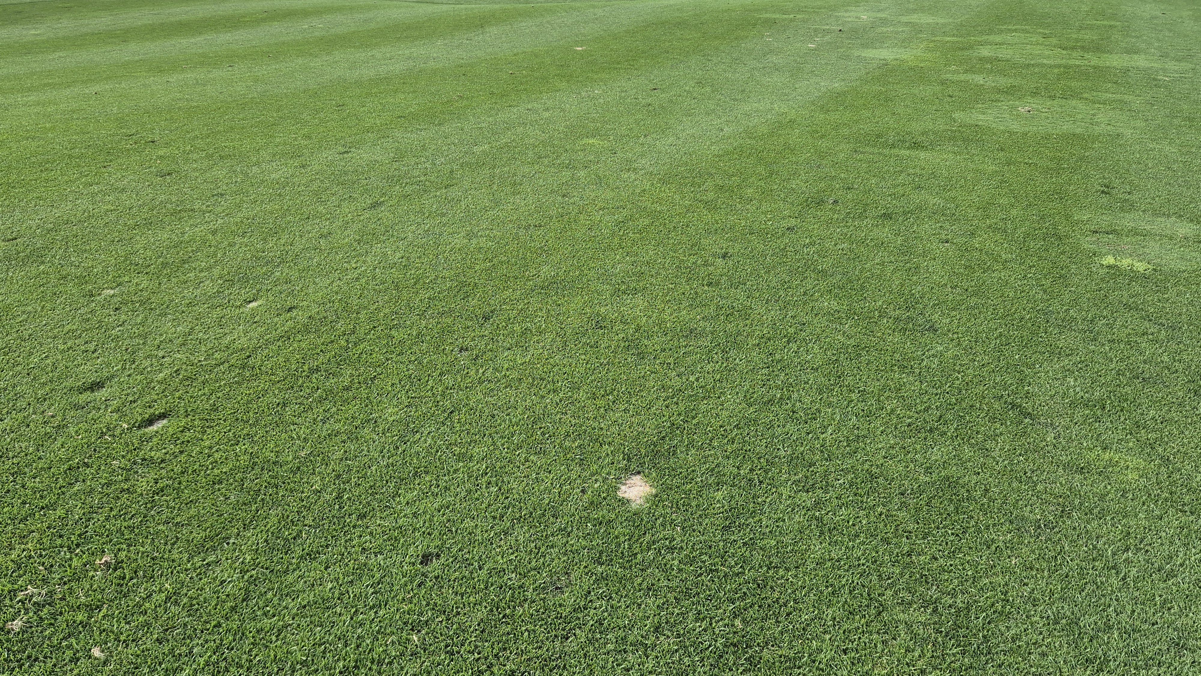 오너스gc 라운드 후기