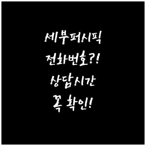 세부퍼시픽 한국어 상담 전화번호 및 ..