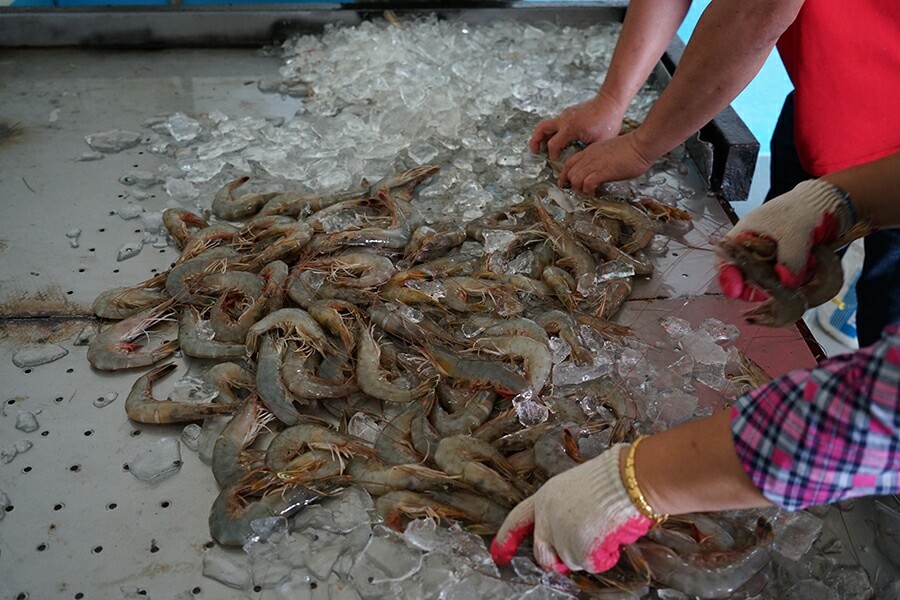 2023년 무창포 대하 전어 가을 축제 가볼만한 곳