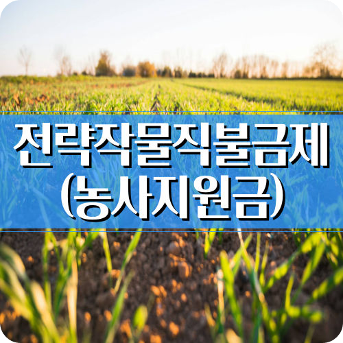 전략작물직불금제