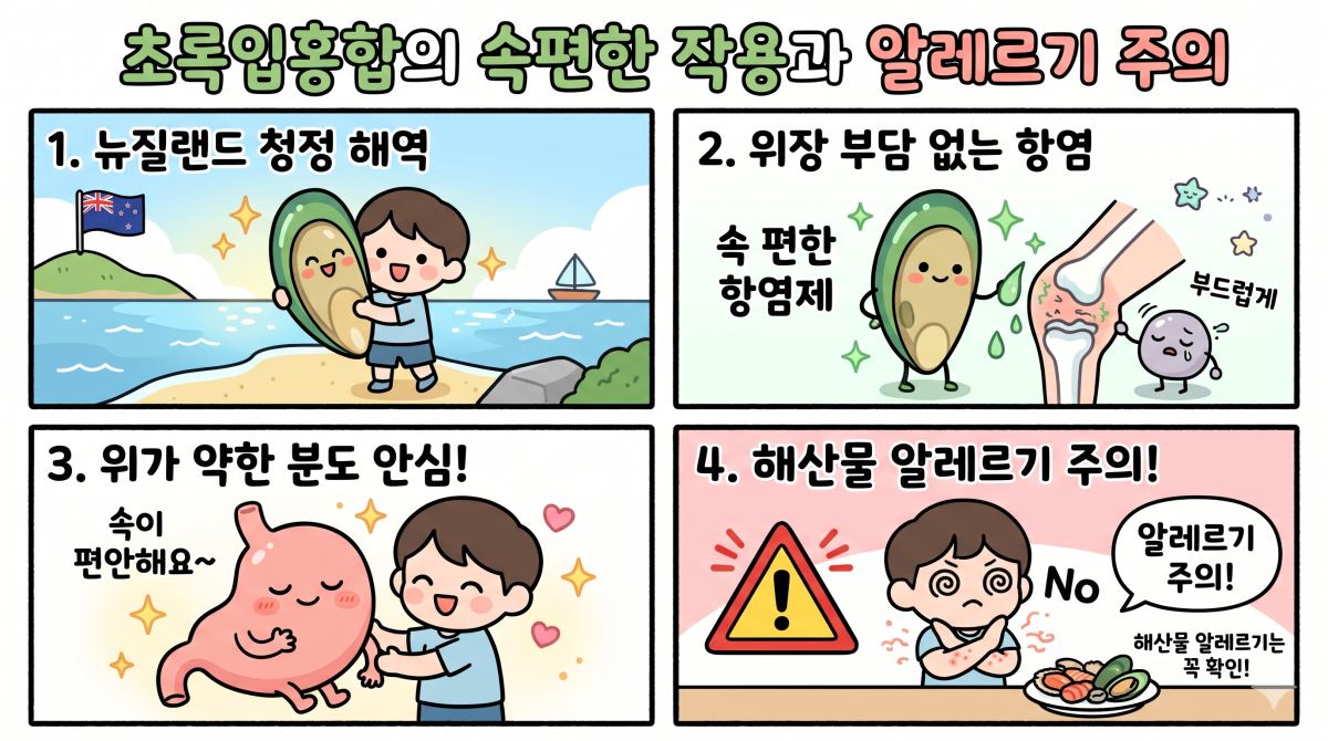 초록입홍합의 속편한 작용과 알레르기 주의