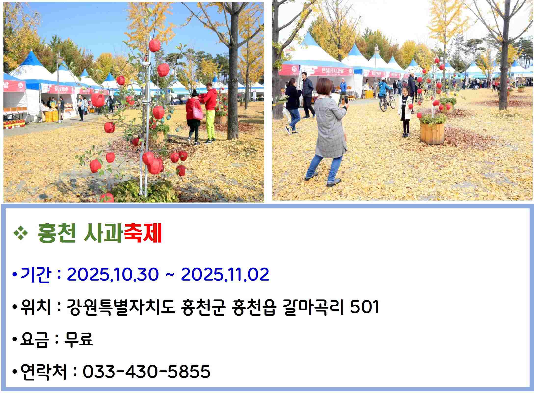 홍천 사과축제