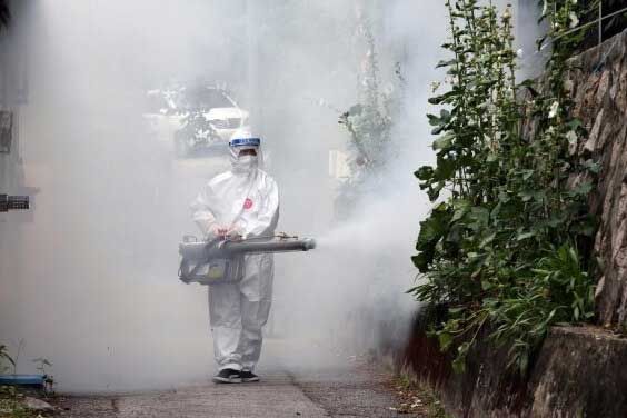 러브버그 퇴치방법