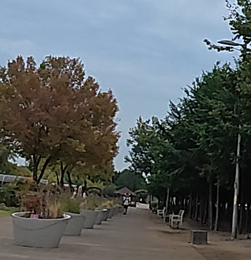 Alt 속성 문제 해결 설명 이미지