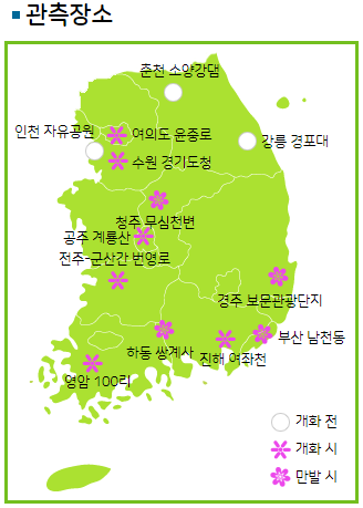 봄꽃개화현황-기상청 제공 (3/27일 기준)