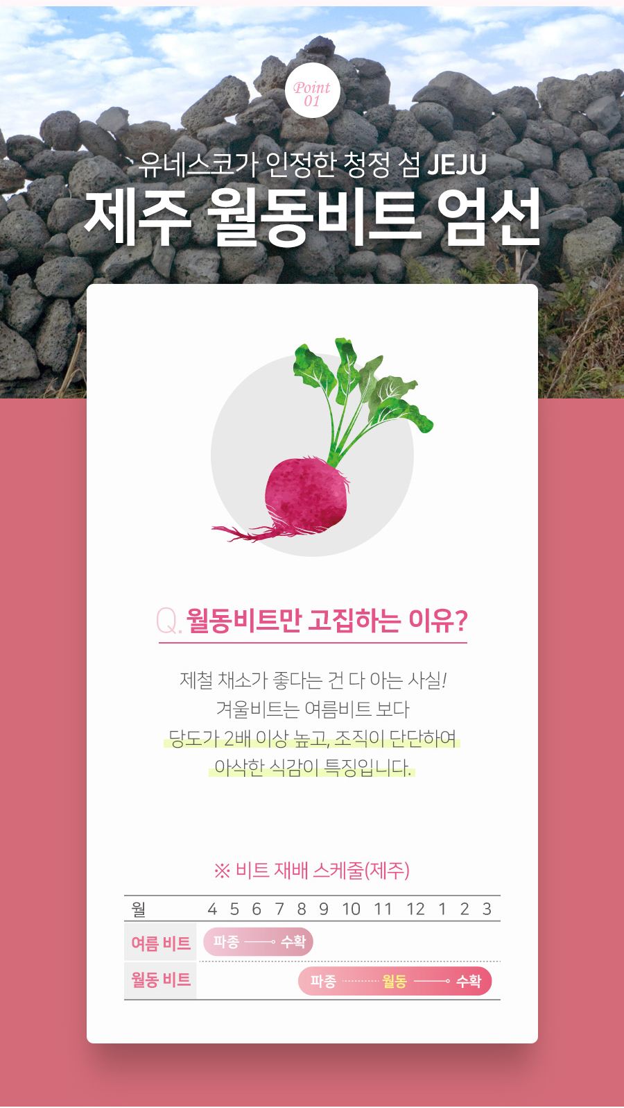 비트즙 추천