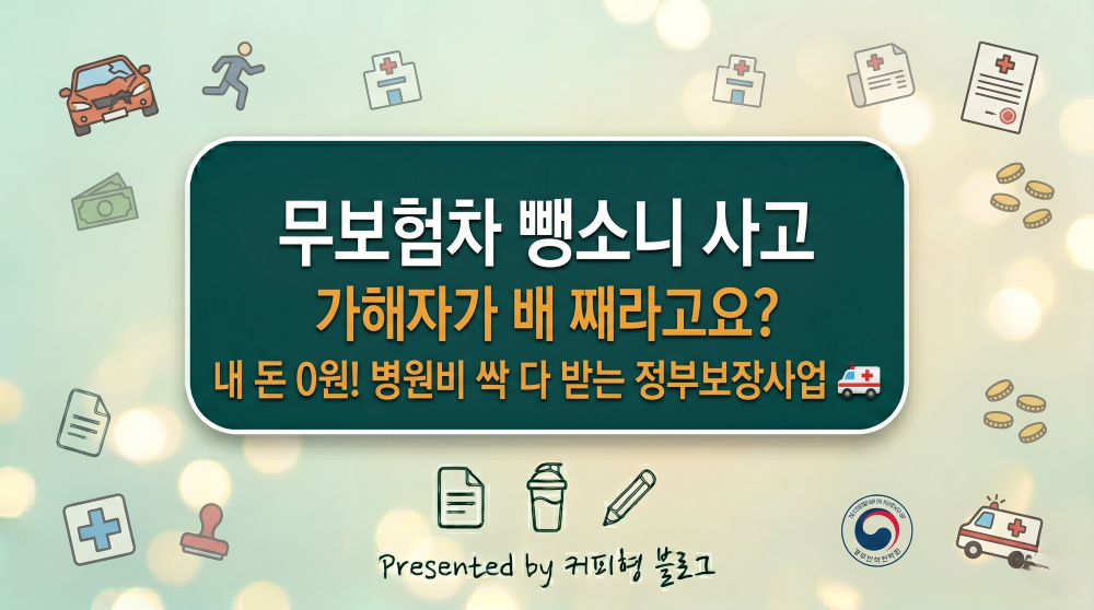 무보험차 뺑소니 정부보장사업으로 방어법 블로그 썸네일 이미지