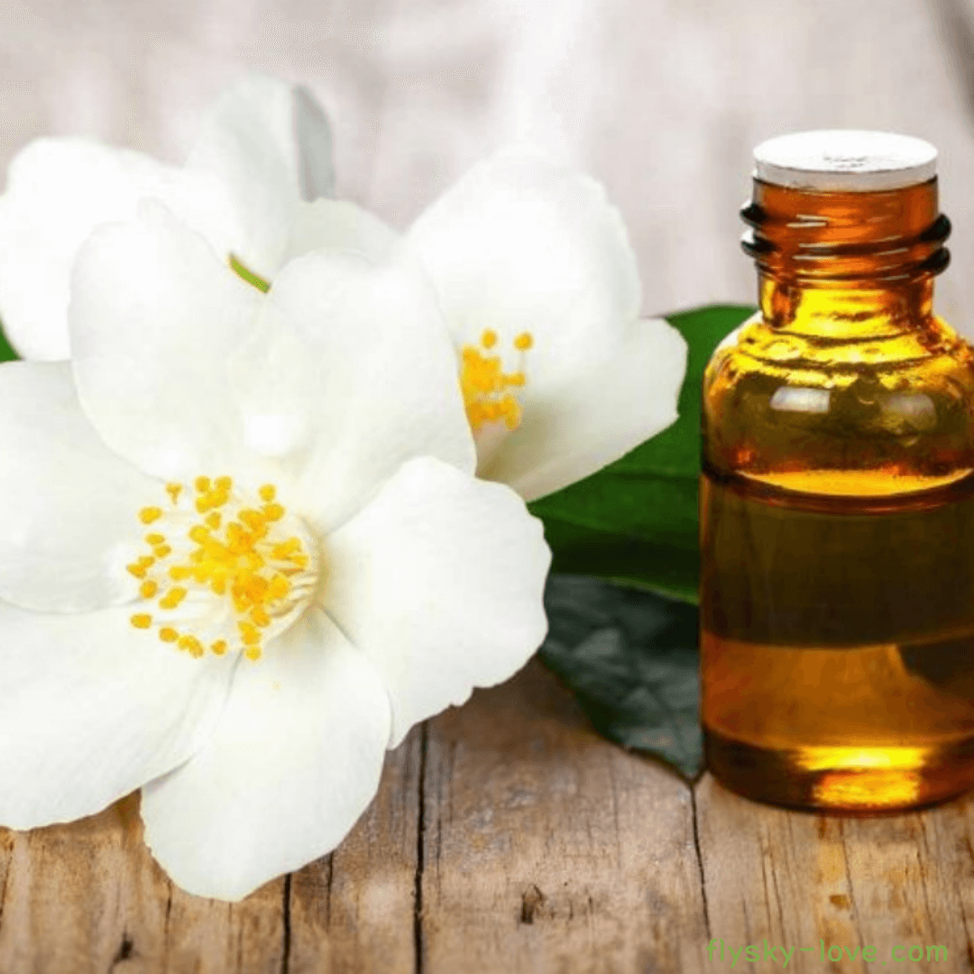 자스민 (Jasmine), 자스민 오일