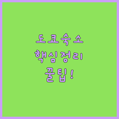 도쿄 여행 숙소 정리 공항직결 온천 ..