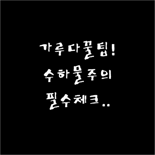 가루다인도네시아 수하물 준비 꿀팁과 ..