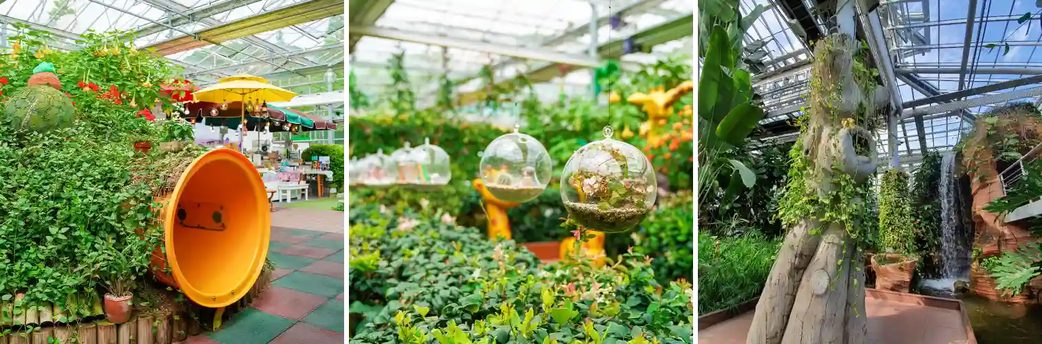 경주 동궁원 식물원 사진