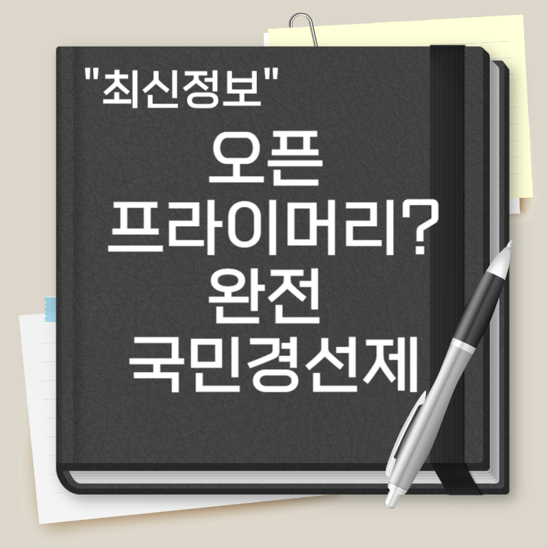 오픈 프라이머리