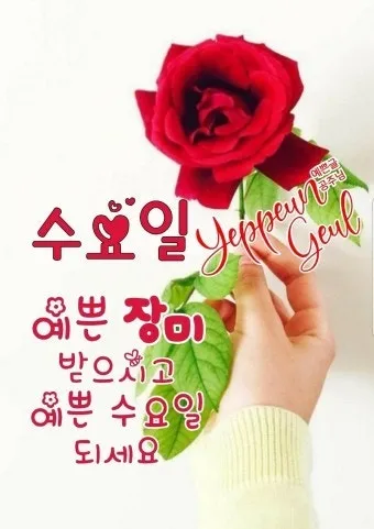 아침인사 이쁜글 다운로드_27