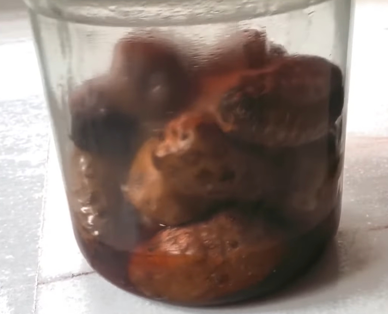 노니 효능 부작용