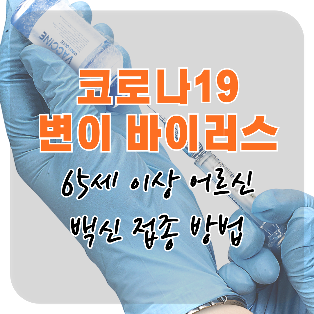 65세 이상 어르신을 위한 코로나19 백신 접종 완벽 가이드