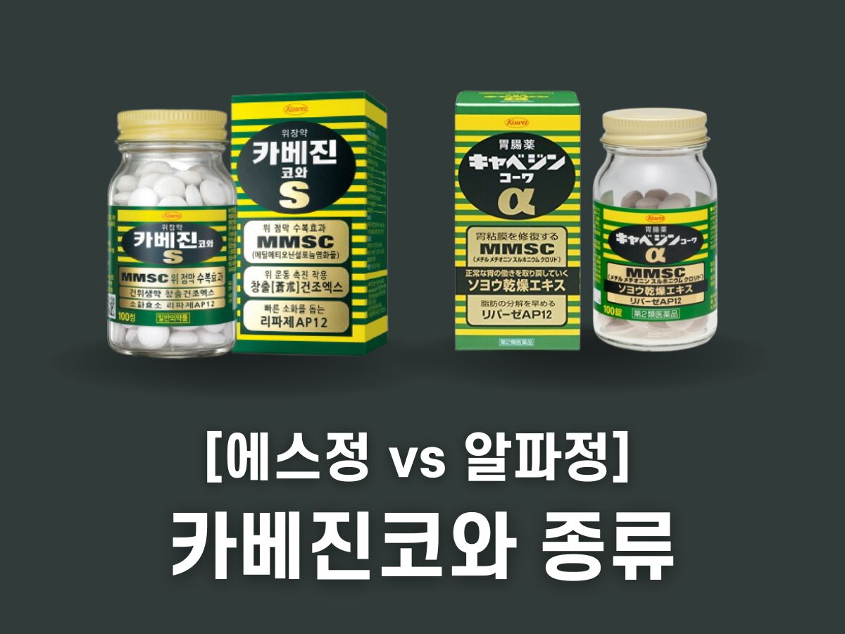 카베진 에스정 알파정