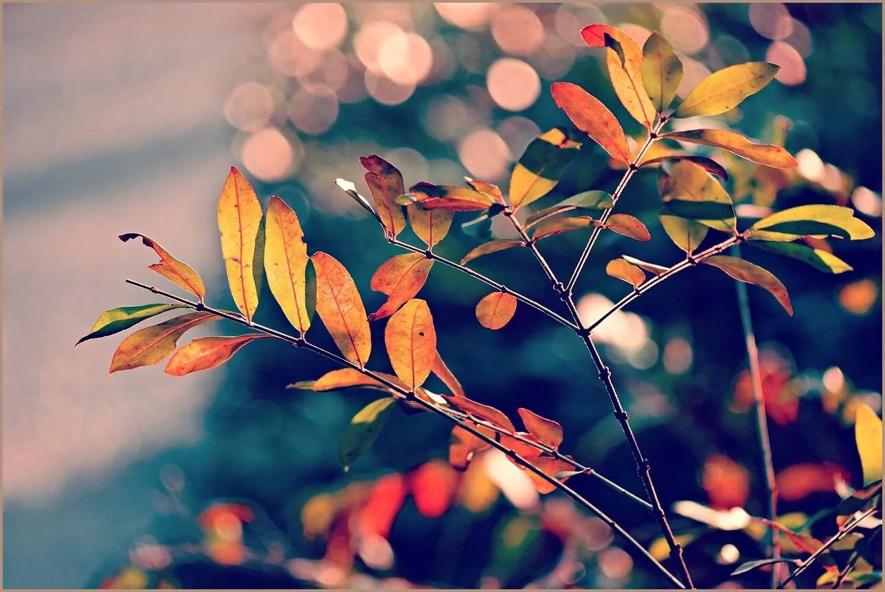 국민은행 정기예금 금리