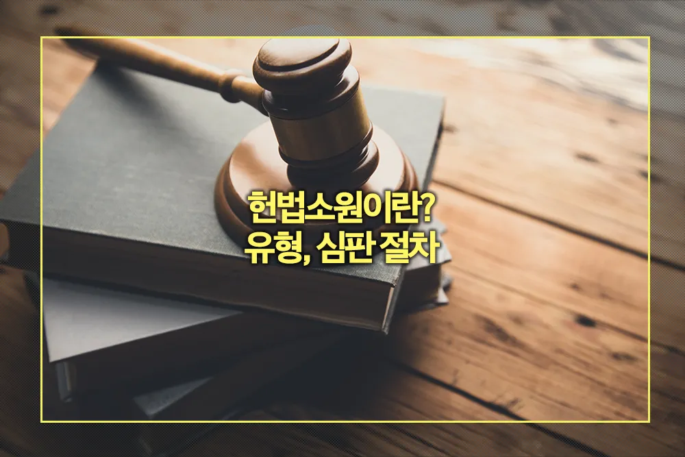 헌법소원 유형 심판절차