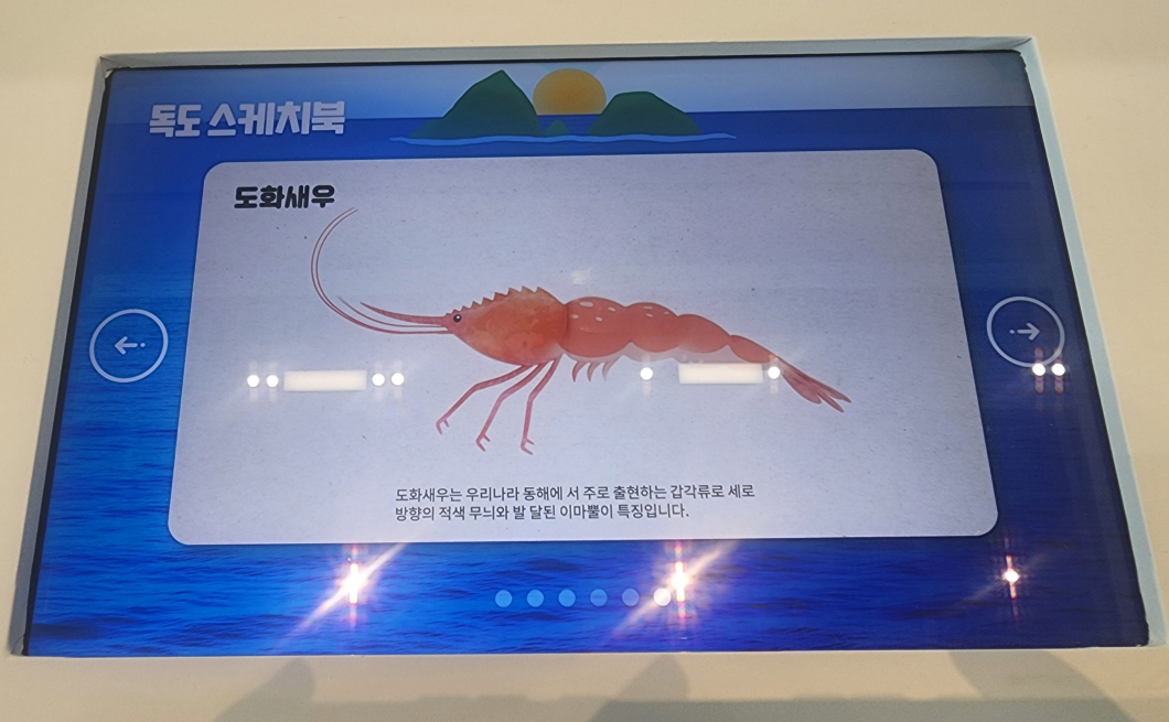 독도 스케치북 체험에서 도화새우 그림을 선택해 색칠하면 실시간으로 화면에 반영되는 인터랙티브 전시