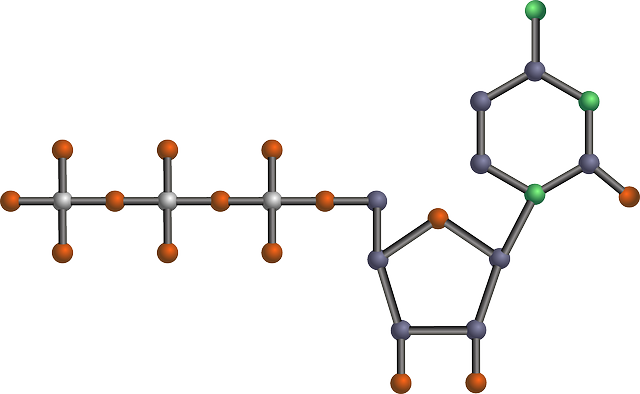 글루타치온 이미지8