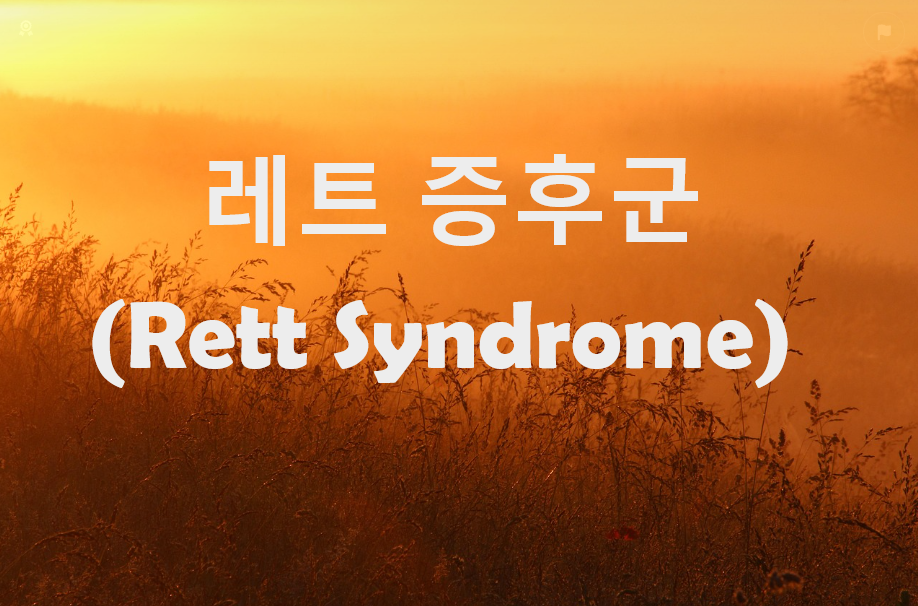 레트 증후군(Rett Syndrome) 완벽 가이드