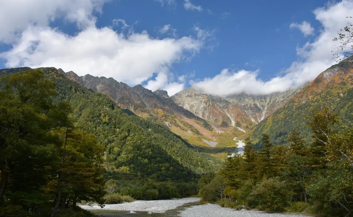 손해평가사 시험일정 시험과목 합격률