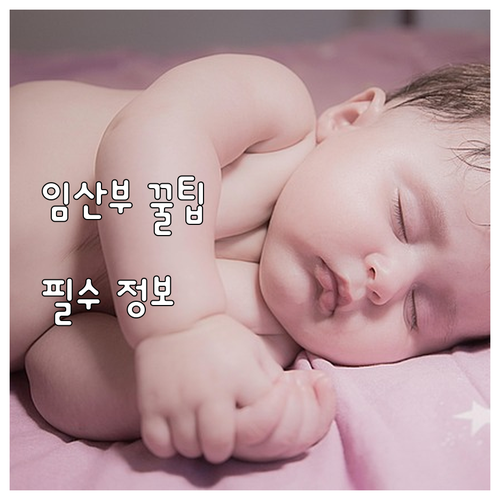 2025 임산부 꿀팁 임신 필수 영양..