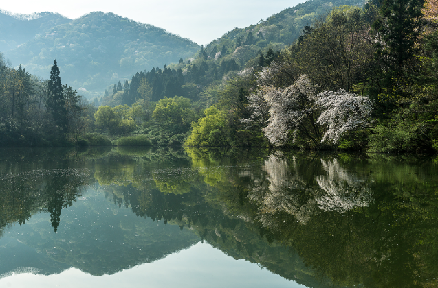 화순 정착 리얼 가이드— 실제 생활 기반으로 정리한 정착민 관찰형 분석
