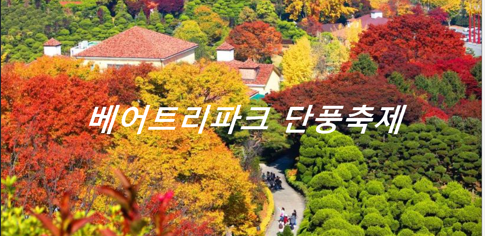 베어트리파크 단풍축제