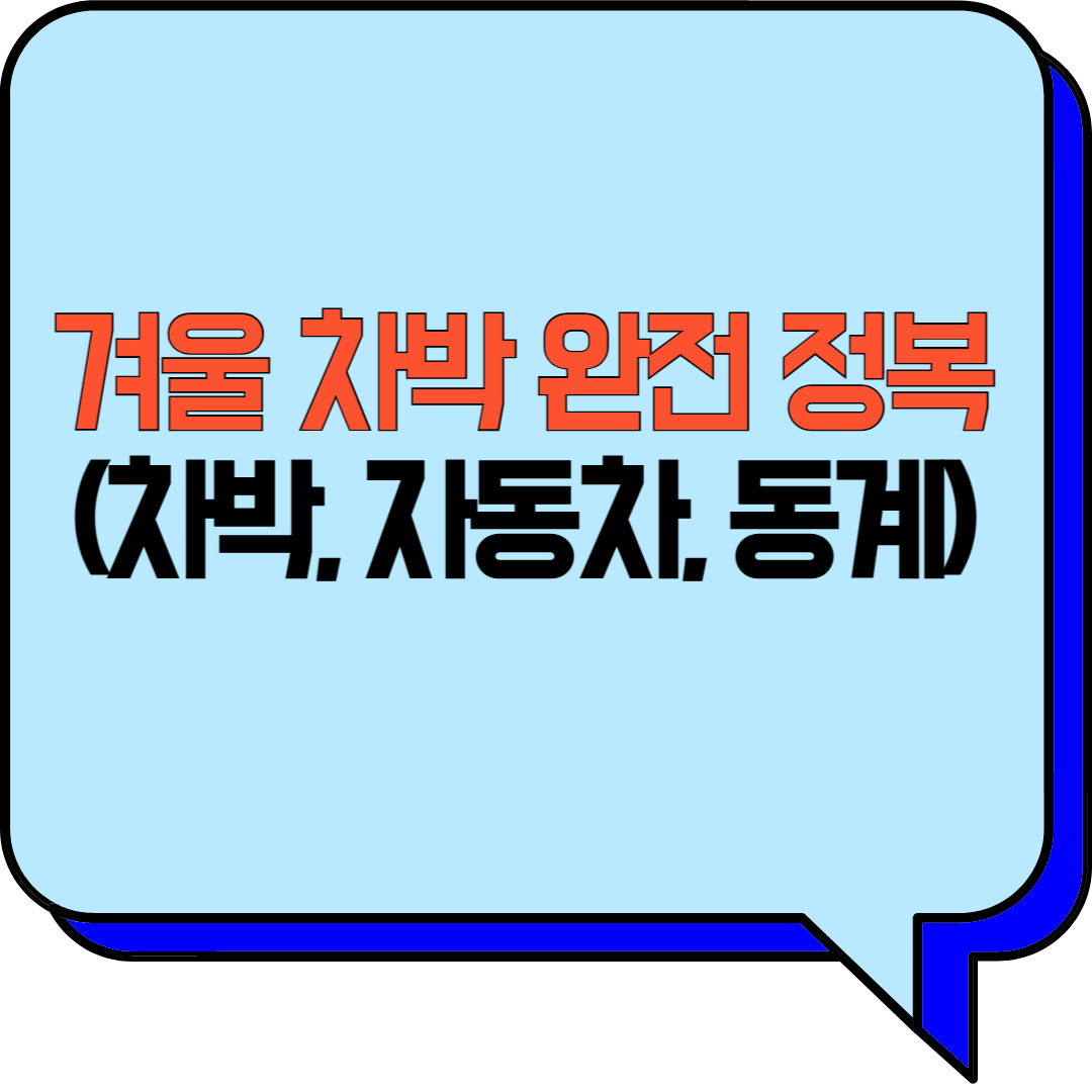 겨울 차박 완전 정복 (차박, 자동차, 동계)