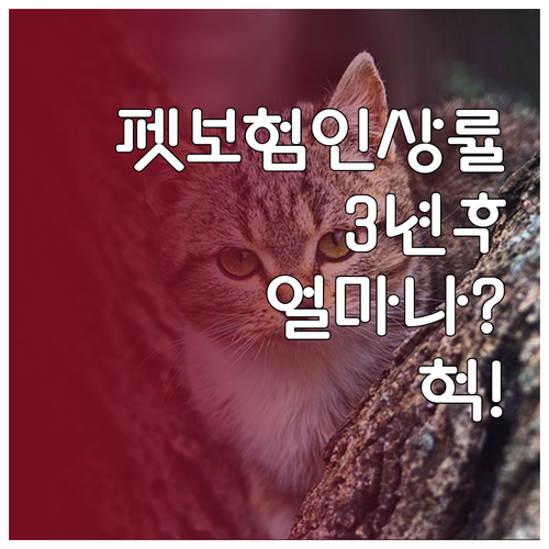 현대해상 우리펫보험 보험료 인상률 3..