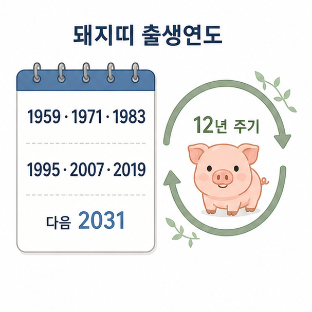1959년부터 2019년까지의 돼지띠 출생연도와 다음 돼지띠 해인 2031년