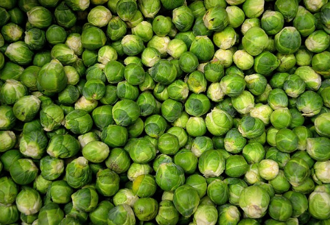 양배추즙의-효능3