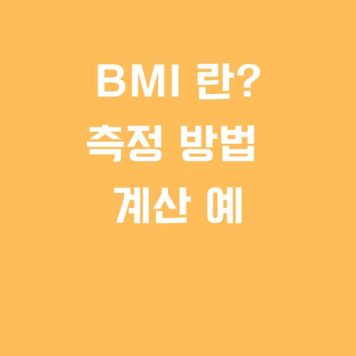 BMI 란 측정 방법