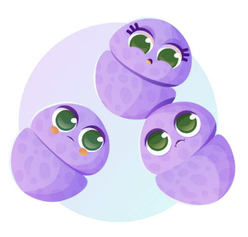 폐렴구균 예방접종 횟수 비용 무료 접종후 주의사항 총정리