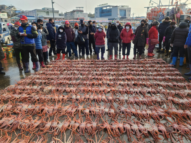 죽변항 수산물 축제