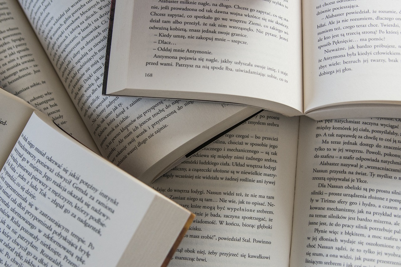 소설 관련 이미지