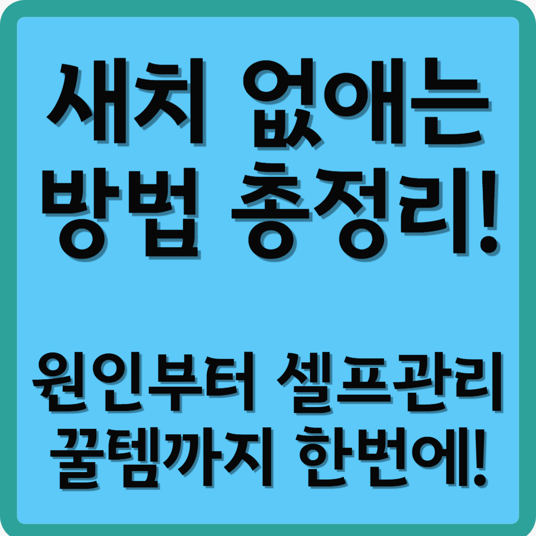 새치 없애는 방법 총정리! 원인부터 셀프관리, 꿀템까지 한번에