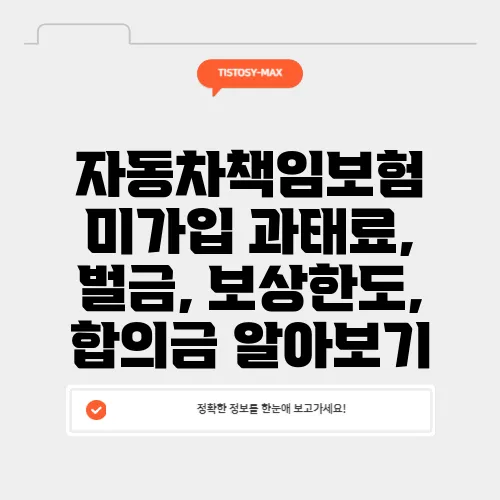 자동차책임보험 미가입 과태료, 벌금, 보상한도, 합의금 알아보기