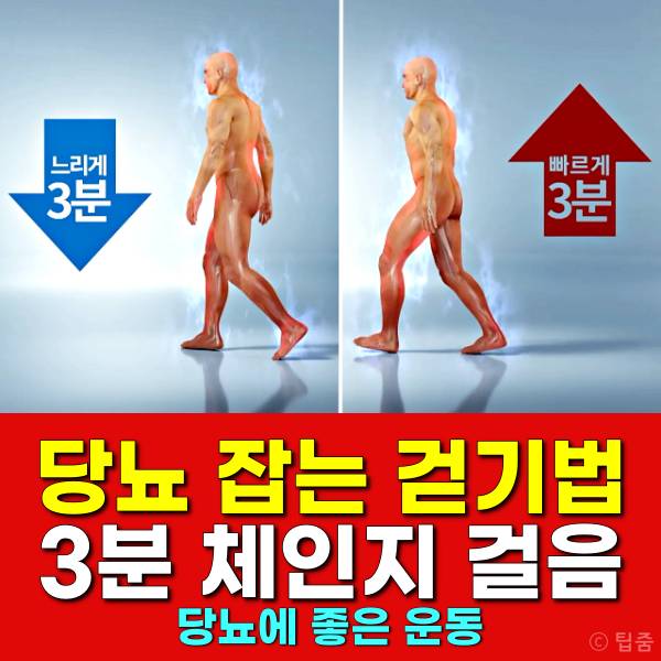 당뇨 걷기 효과 체인지걸음 당뇨에좋은운동