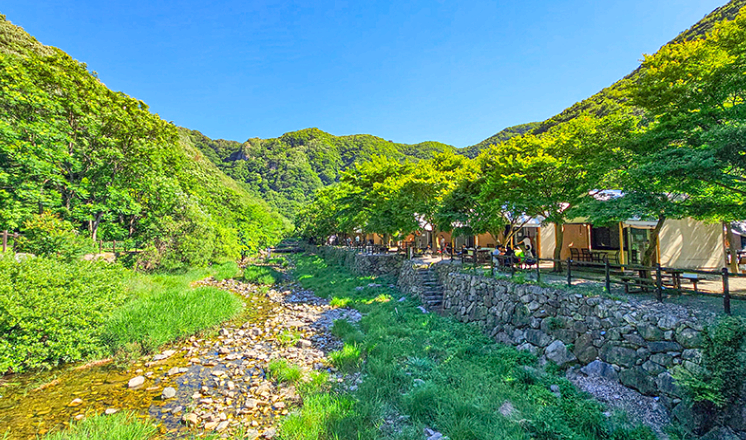 내장산국립공원 캠핑
