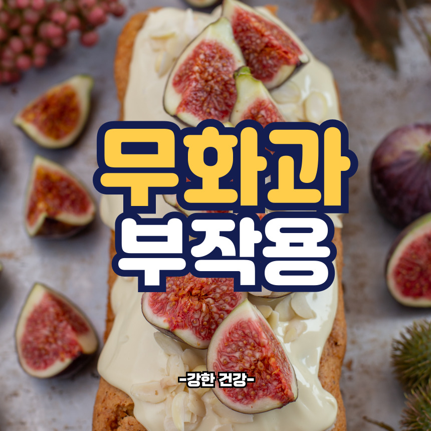 무화과 부작용