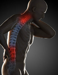 고관절 통증 증상 원인 치료법 스트레칭 운동 총정리