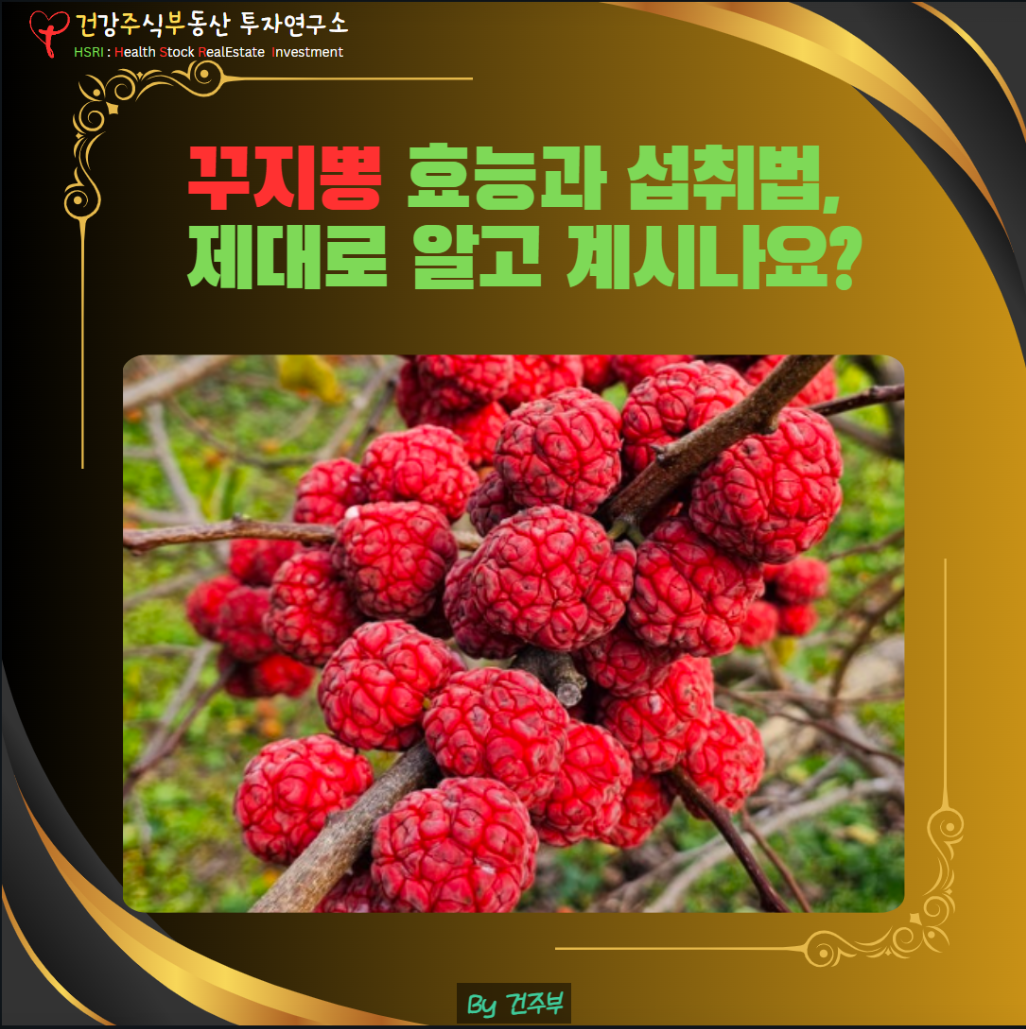 꾸지뽕 효능과 섭취법 제대로 알고 계시나요?