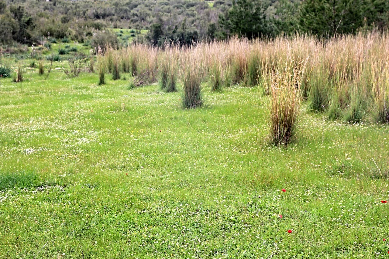 귀촌할 때 농지 임대와 구매, 무엇이 더 유리할까?