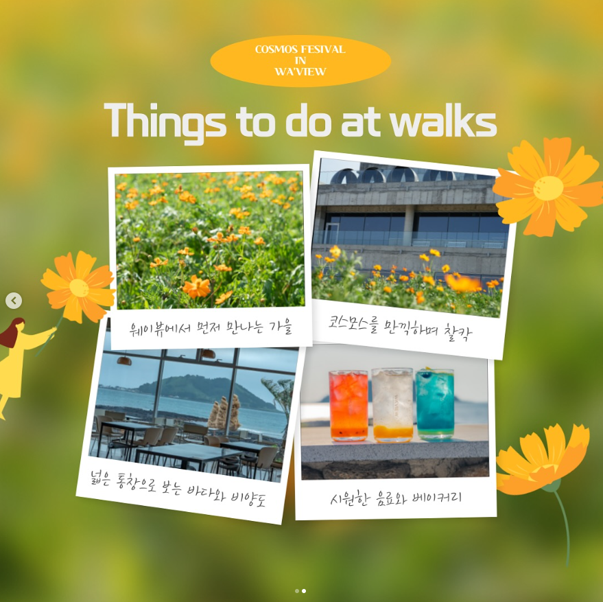 웨이뷰 코스모스 축제