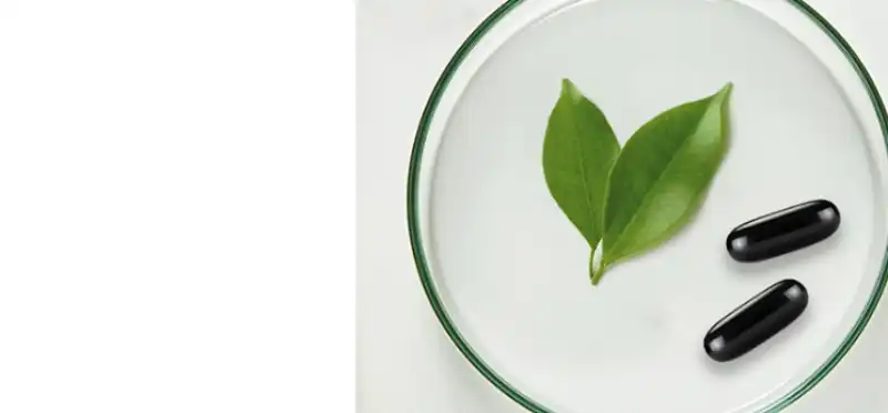 모어네이처의 알약이 접시 위에 놓여져 있다