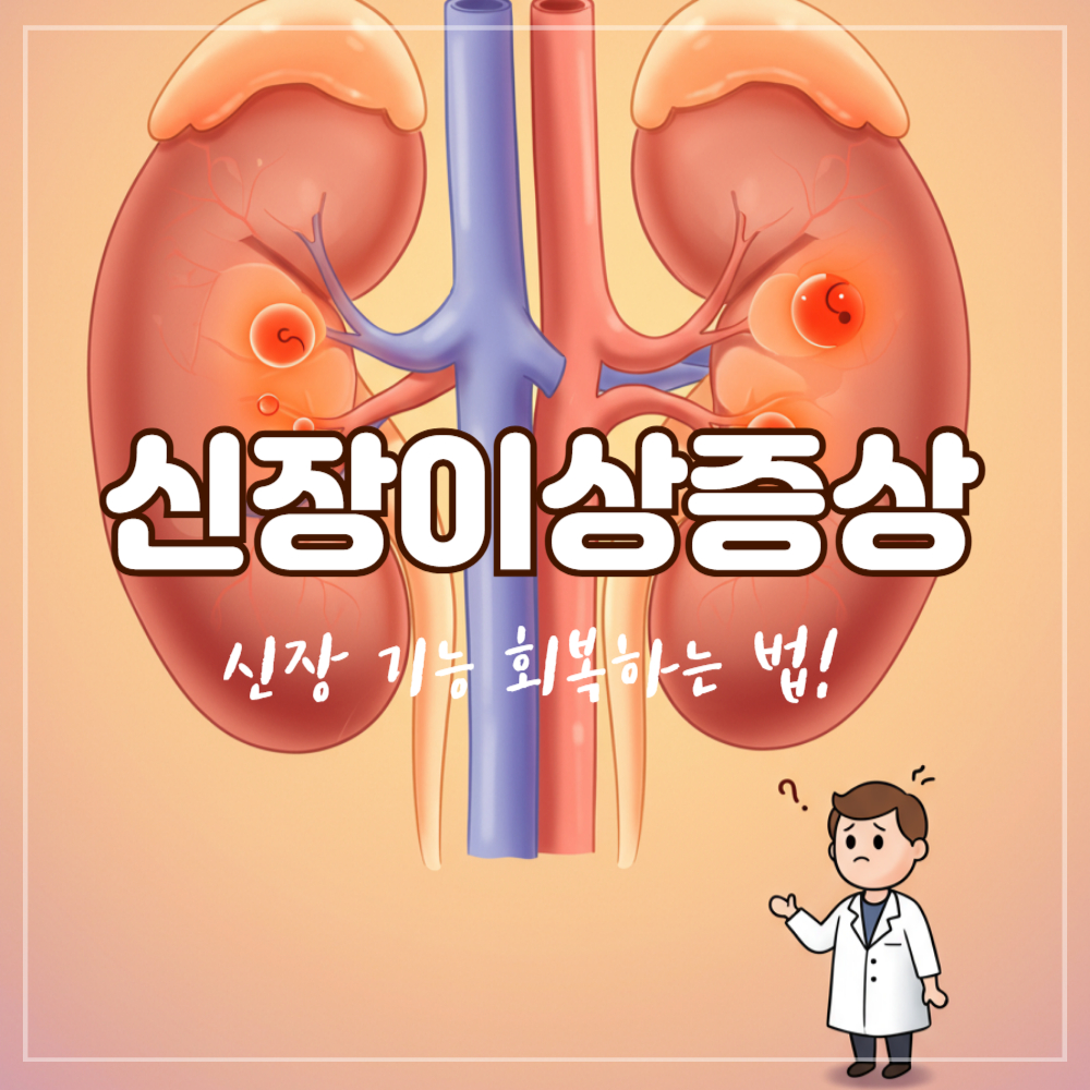 신장 이상 증상 방치하면 큰일! 신장 기능 회복하는 법